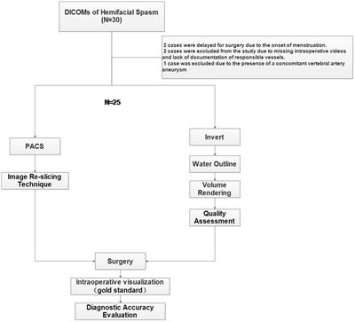 A novel non-segmented inverted water outline rendering method can improve the tracking of responsible blood vessels for hemifacial spasm